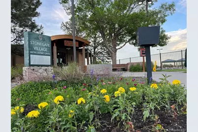 10549 Winterflower Way, Parker, CO 80134 - Photo 13