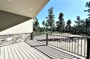 3145 Promise Pt, Colorado Springs, CO 80921 - Photo 11