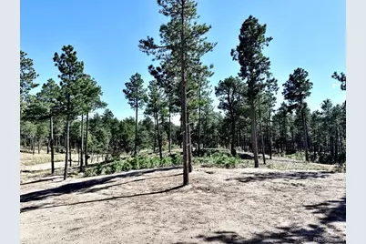 3145 Promise Point, Colorado Springs, CO 80921 - Photo 23