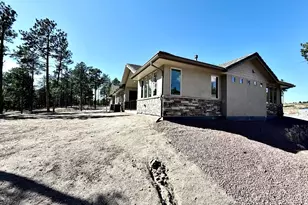 3145 Promise Pt, Colorado Springs, CO 80921 - Photo 27