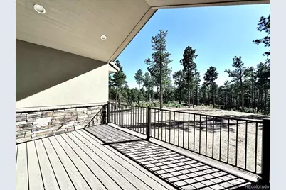 3145 Promise Point, Colorado Springs, CO 80921 - Photo 25