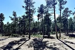 3145 Promise Pt, Colorado Springs, CO 80921 - Photo 23