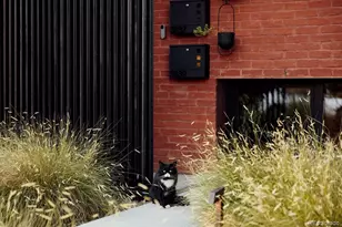 3837 N High St, Denver, CO 80205 - Photo 5