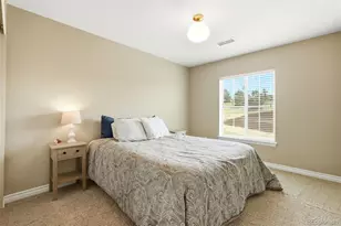 9274 Viaggio Way, Highlands Ranch, CO 80126 - Photo 25