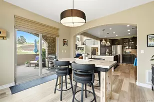 9274 Viaggio Way, Highlands Ranch, CO 80126 - Photo 9
