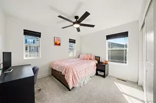 410 Felicity Loop, Castle Rock, CO 80109 - Photo 21