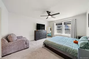 410 Felicity Loop, Castle Rock, CO 80109 - Photo 15
