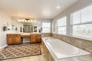 10634 Amesbury Way, Highlands Ranch, CO 80126 - Photo 23