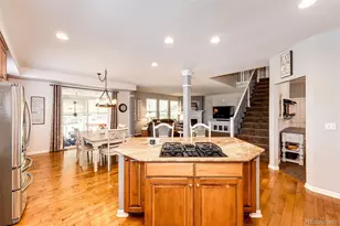 10634 Amesbury Way, Highlands Ranch, CO 80126 - Photo 17