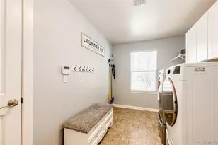 10634 Amesbury Way, Highlands Ranch, CO 80126 - Photo 19