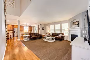 10634 Amesbury Way, Highlands Ranch, CO 80126 - Photo 9