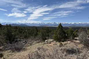 000 Redtail Trail, Texas Creek, CO 81223 - Photo 1