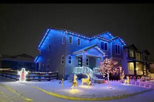 99 Simmental Loop, Castle Rock, CO 80104 - Photo 27