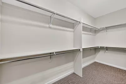 99 Simmental Loop, Castle Rock, CO 80104 - Photo 23