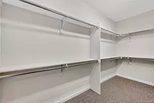 99 Simmental Loop, Castle Rock, CO 80104 - Photo 23