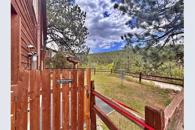 17 Silver Springs Road, Bailey, CO 80421 - Photo 47