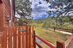 17 Silver Springs Rd, Bailey, CO 80421 - Photo 47