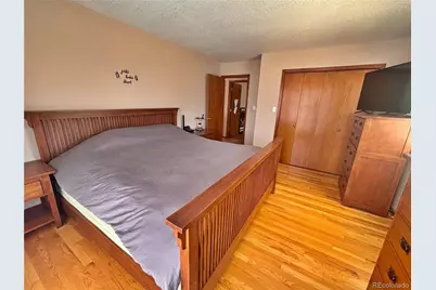 17 Silver Springs Road, Bailey, CO 80421 - Photo 21