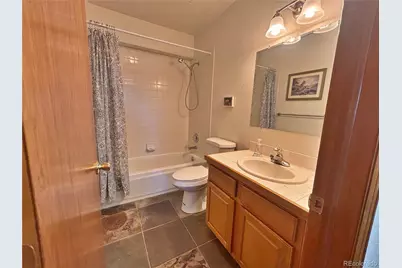 17 Silver Springs Road, Bailey, CO 80421 - Photo 29