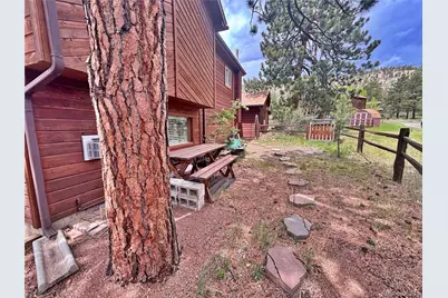 17 Silver Springs Road, Bailey, CO 80421 - Photo 37