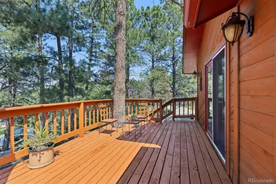 9434 McShane Court, Parker, CO 80134 - Photo 41