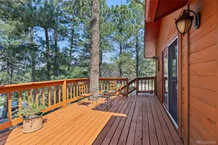 9434 McShane Ct, Parker, CO 80134 - Photo 41