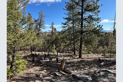 1581 Bellows Road, Hartsel, CO 80449 - Photo 11