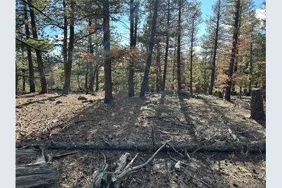 1581 Bellows Road, Hartsel, CO 80449 - Photo 13