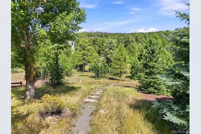 1610 Ridgetrail Court, Castle Rock, CO 80104 - Photo 47