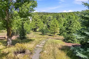 1610 Ridgetrail Ct, Castle Rock, CO 80104 - Photo 47