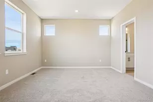 13817 Daffodil Wy, Parker, CO 80134 - Photo 35