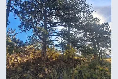 2151 County Road 403, Lake George, CO 80827 - Photo 5