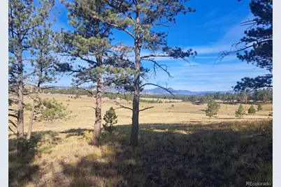 2151 County Road 403, Lake George, CO 80827 - Photo 7