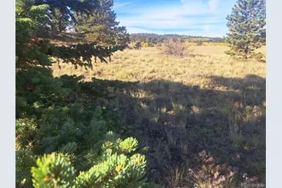 2151 County Road 403, Lake George, CO 80827 - Photo 3