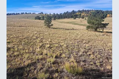 2151 County Road 403, Lake George, CO 80827 - Photo 11