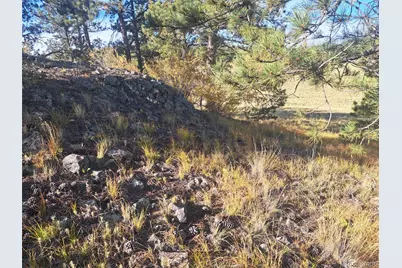 2151 County Road 403, Lake George, CO 80827 - Photo 19