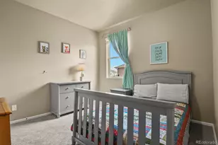 5907 Point Rider Cir, Castle Rock, CO 80104 - Photo 31