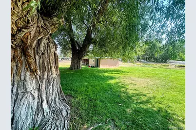 1207 Lincoln Street, Alamosa, CO 81101 - Photo 49