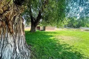 1207 Lincoln St, Alamosa, CO 81101 - Photo 49