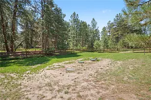 35787 Elkridge Run, Elizabeth, CO 80107 - Photo 37