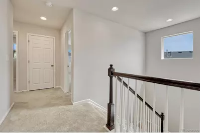 9167 Rio Lado Street, Littleton, CO 80125 - Photo 37