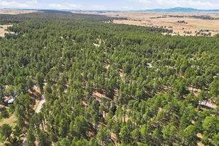 4724 Deer Trail, Elizabeth, CO 80107 - Photo 43