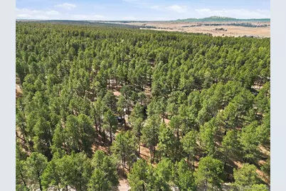 4724 Deer Trail, Elizabeth, CO 80107 - Photo 47