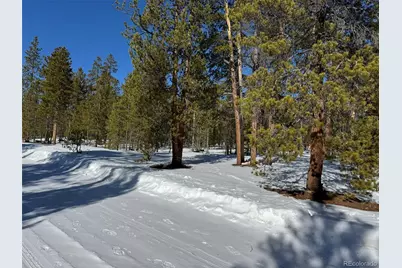 322 Fir Drive, Twin Lakes, CO 80461 - Photo 11