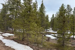 322 Fir Dr, Twin Lakes, CO 80461 - Photo 1