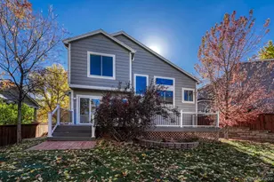 9329 Wolfe St, Highlands Ranch, CO 80129 - Photo 41