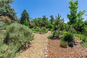 208 Elm Ct, Castle Rock, CO 80104 - Photo 35