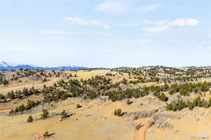 43 Pintail Wy, Como, CO 80432 - Photo 45