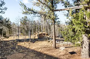 43 Pintail Wy, Como, CO 80432 - Photo 35