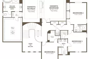 1722 Green Fern Pt, Castle Rock, CO 80104 - Photo 3